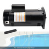 USQ1252 Swimming Pool Motor 2.5HP 230V 48Y Square Flange With PS-200 Seal Kit