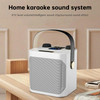 Wireless Bluetooth Speaker Black Dual Microphone Portable Karaoke Speaker Home Theater