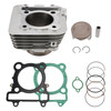 2008-2013 Yamaha ATV Raptor 250 All Models 300cc Cylinder Piston Gasket Silver 4D3-11311-01 Generic