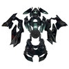 Kawasaki ZX-10R ZX-10RR 2021-2025 Fairing Kit Bodywork Plastic ABS Generic#176