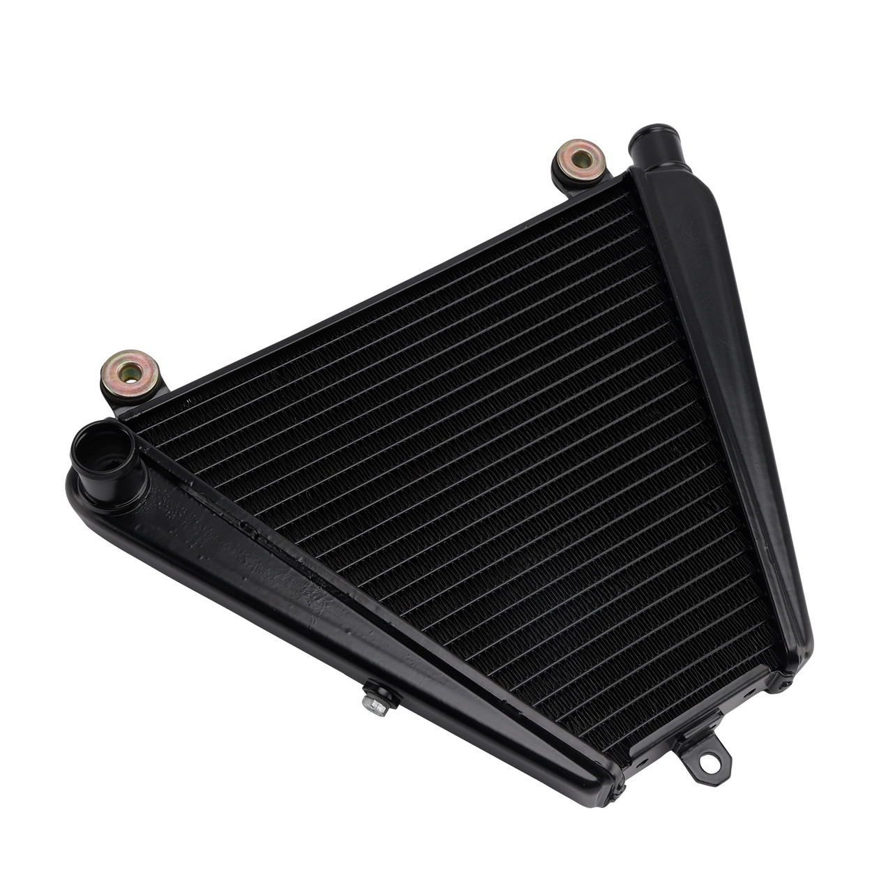 2022-2024 Ducati Panigle V2 Troy Bayliss Radiator Cooler Black Generic