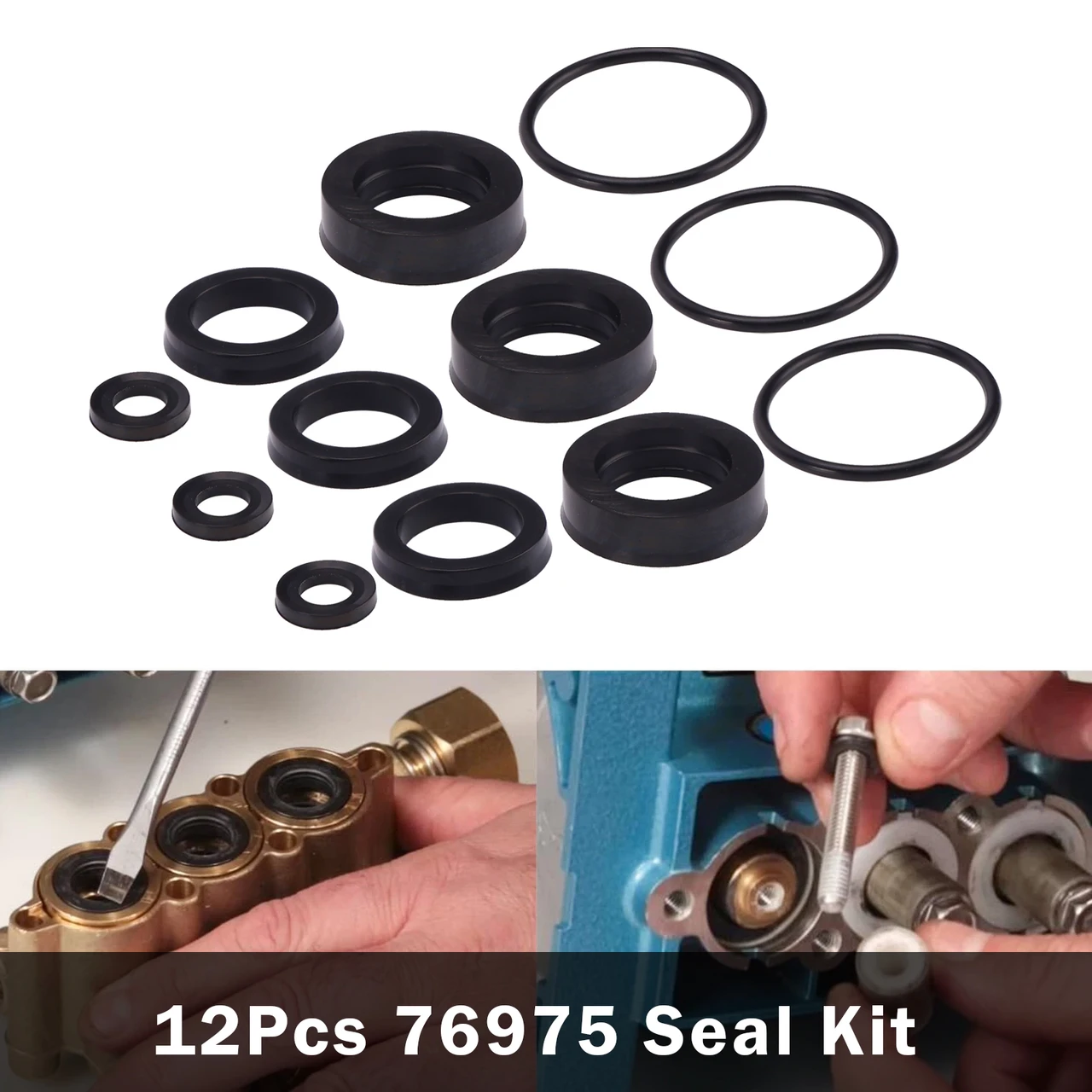 12Pcs 76975 Seal Kit For Cat Pump 4DNX Pumps 4DNX25GSI 4DNX27GSI Seal Kit