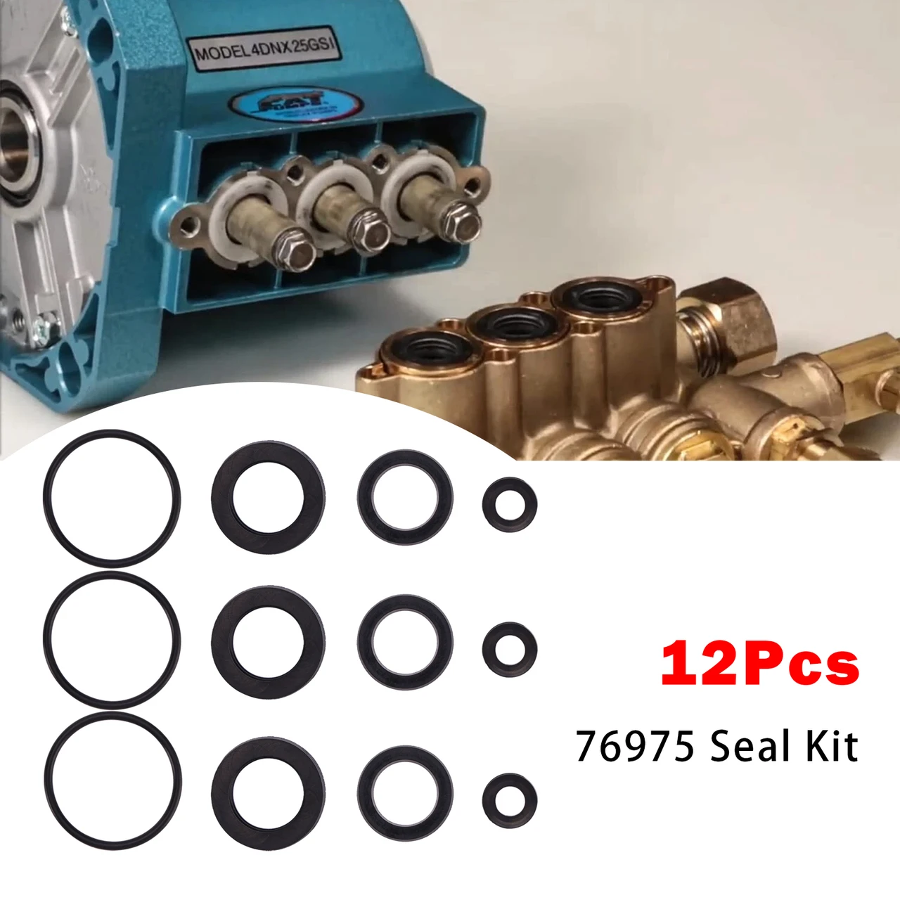 12Pcs 76975 Seal Kit For Cat Pump 4DNX Pumps 4DNX25GSI 4DNX27GSI Seal Kit