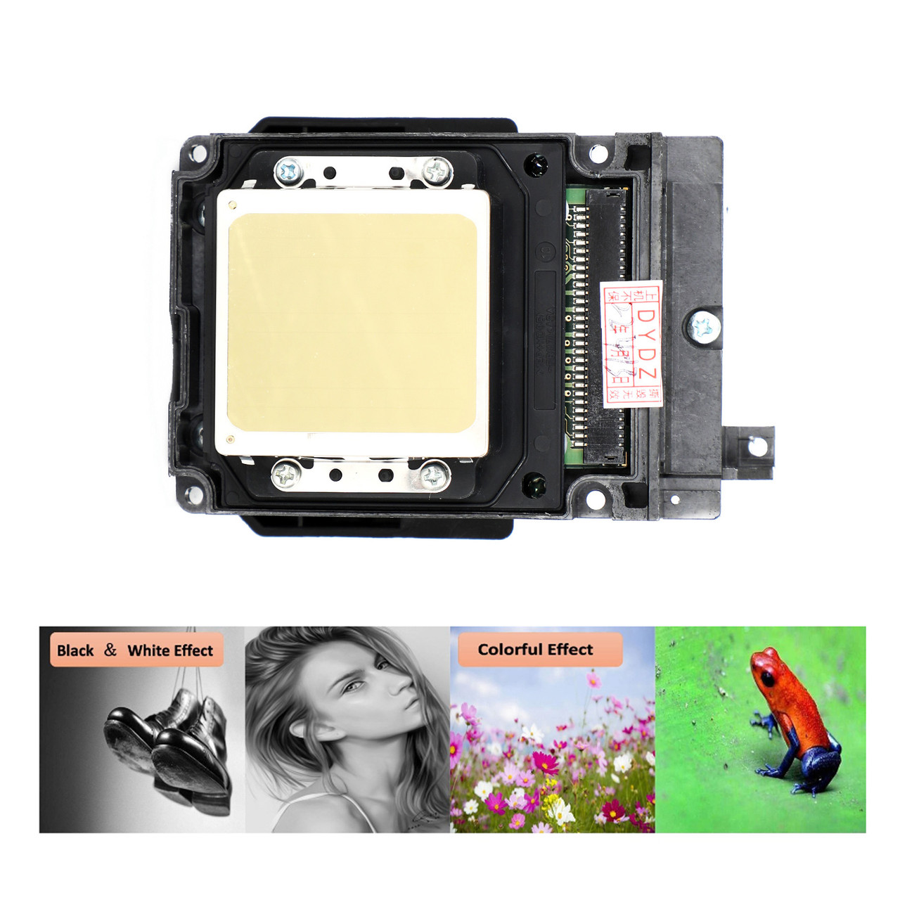Refurbished Full Color Print Head Printhead For TX800 TX820 A800 F192040