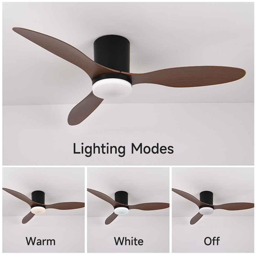 Ceiling Fans with Lights