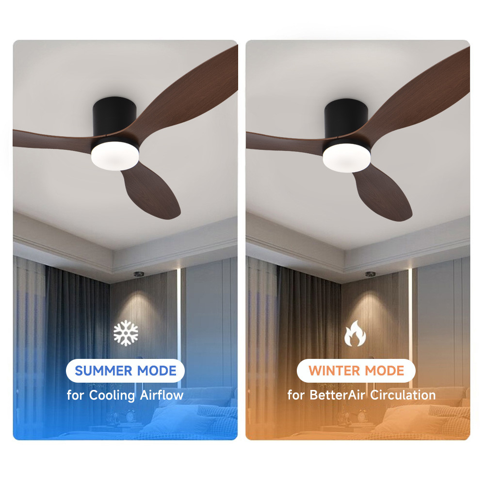 Ceiling Fans with Lights