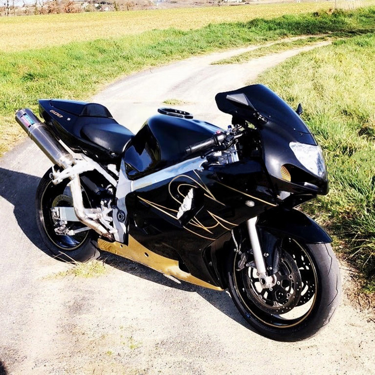 Suzuki GSXR750 2001-2003 Amotopart Fairing Kit Generic #106