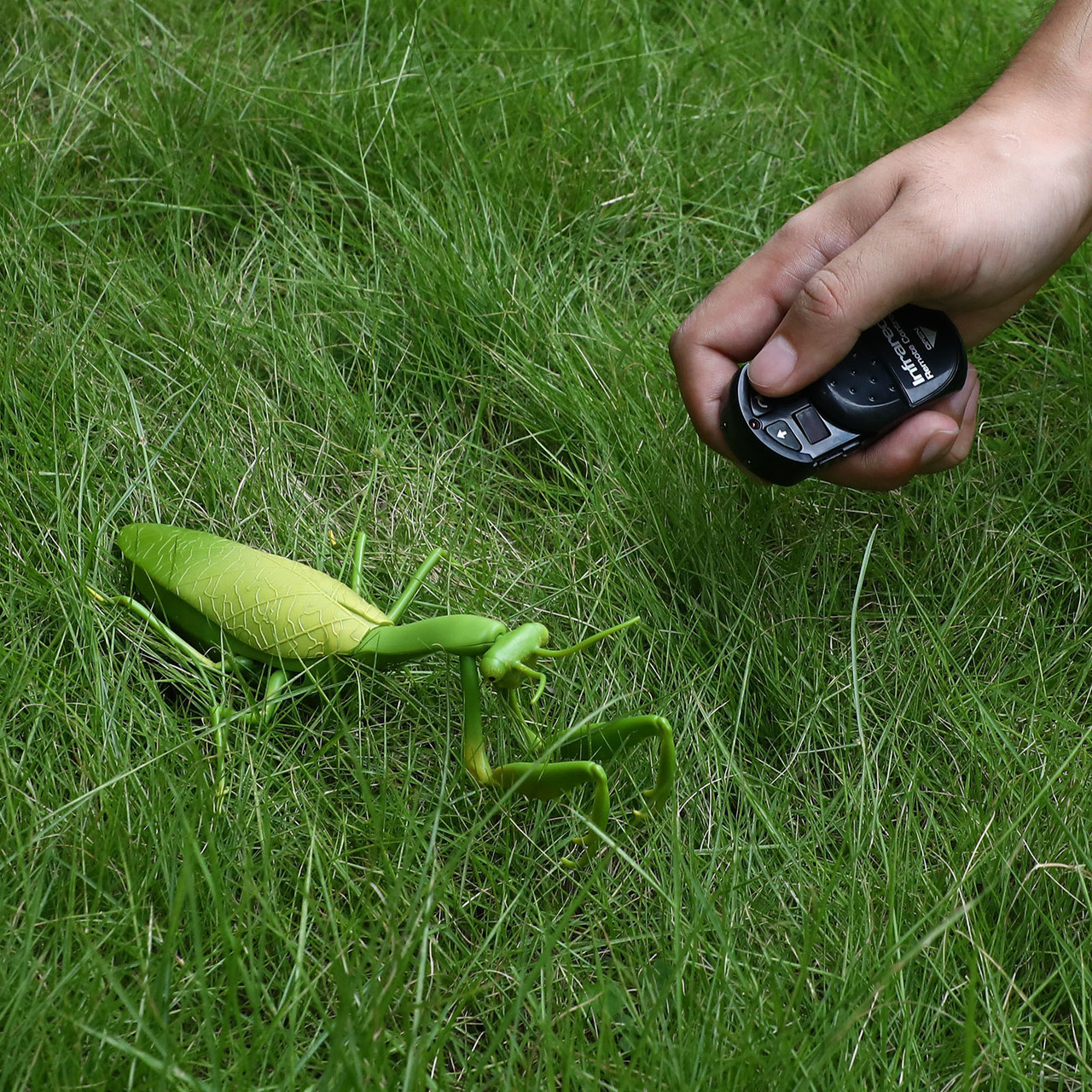 Remote Control Mantis Electric Animal Fake Toy Birthday Christmas Gift For Kids