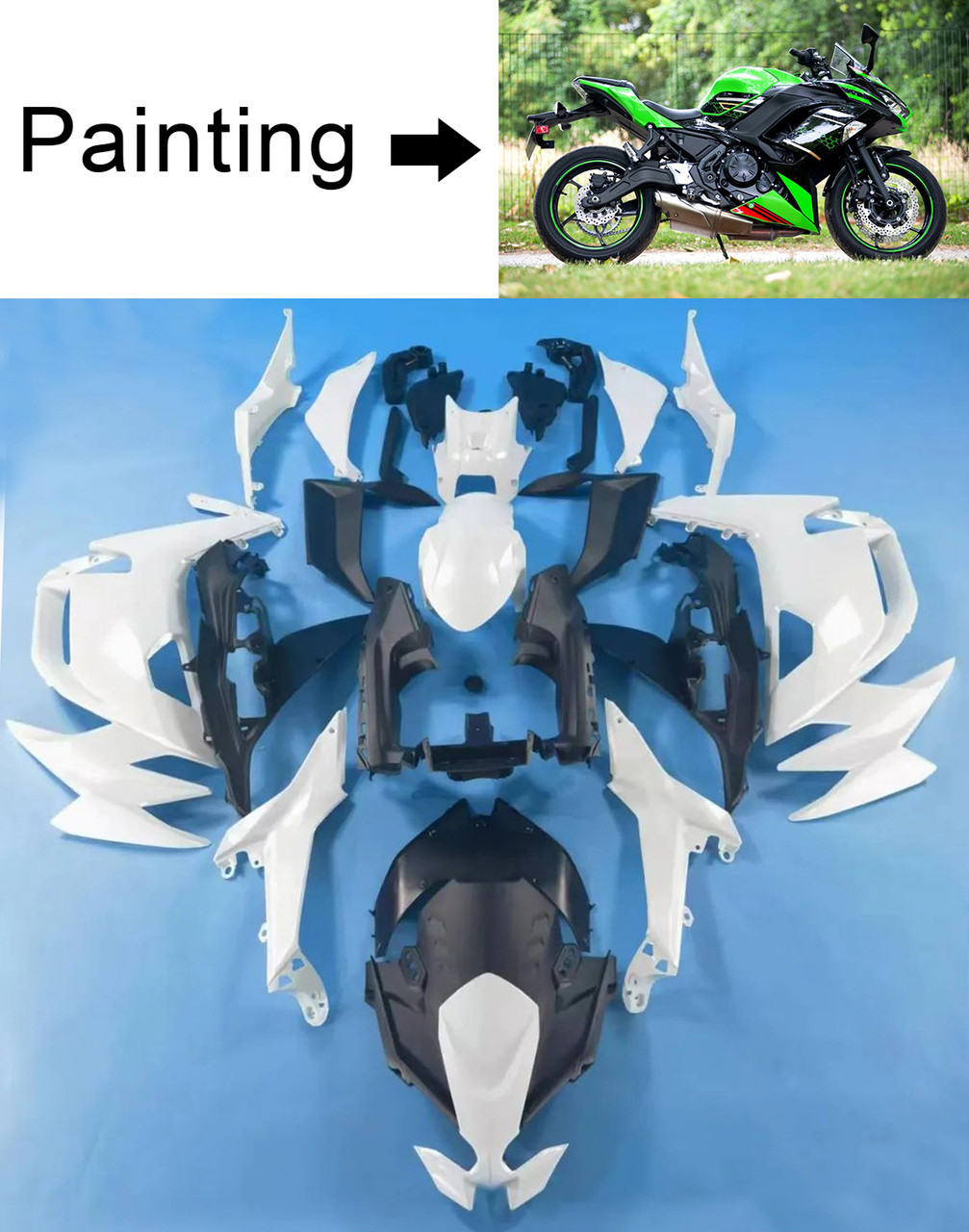 2020-2025 Kawasaki ER6F/Ninja650 Amotopart Fairing Kit Generic #102