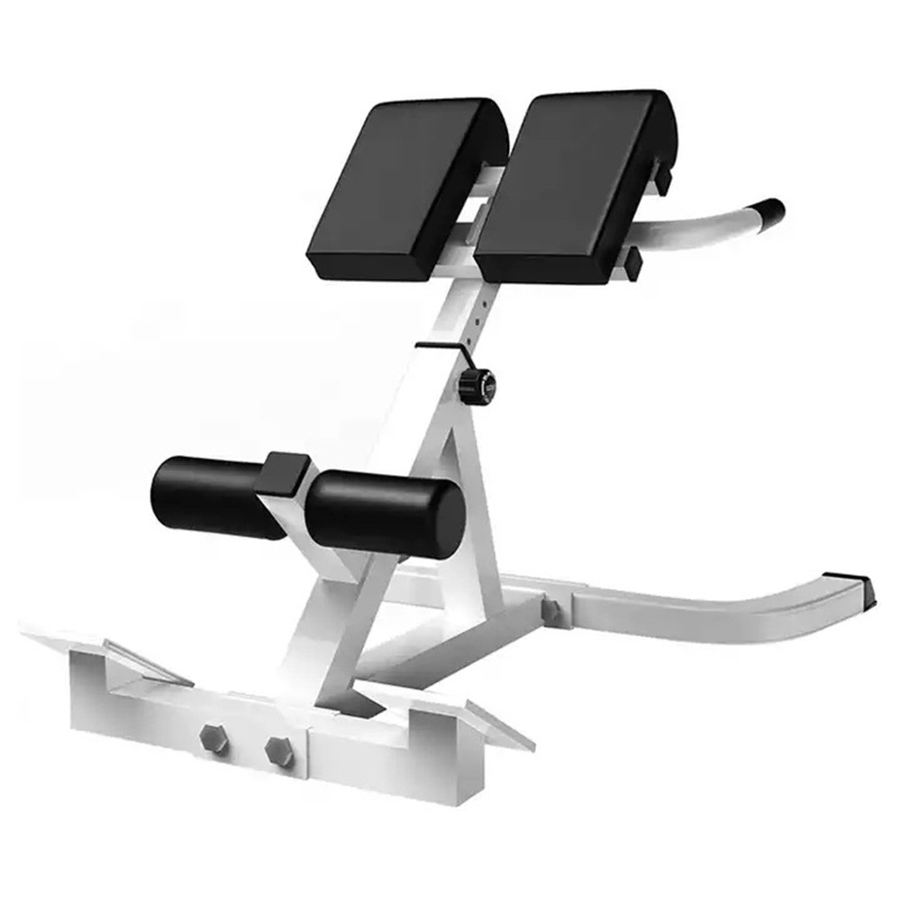 Adjustable Roman Chair Back Extension Exercise Bench Back Training