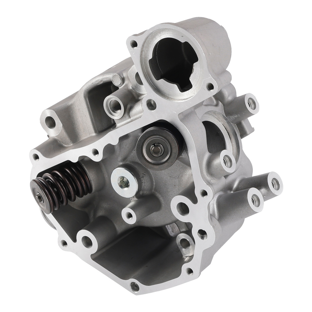 TERRTHEAKI06 卍LINE CHEHON 420family etc. Honda Rancher 420 TRX420 (2009-2024) Engine Cylinder Head