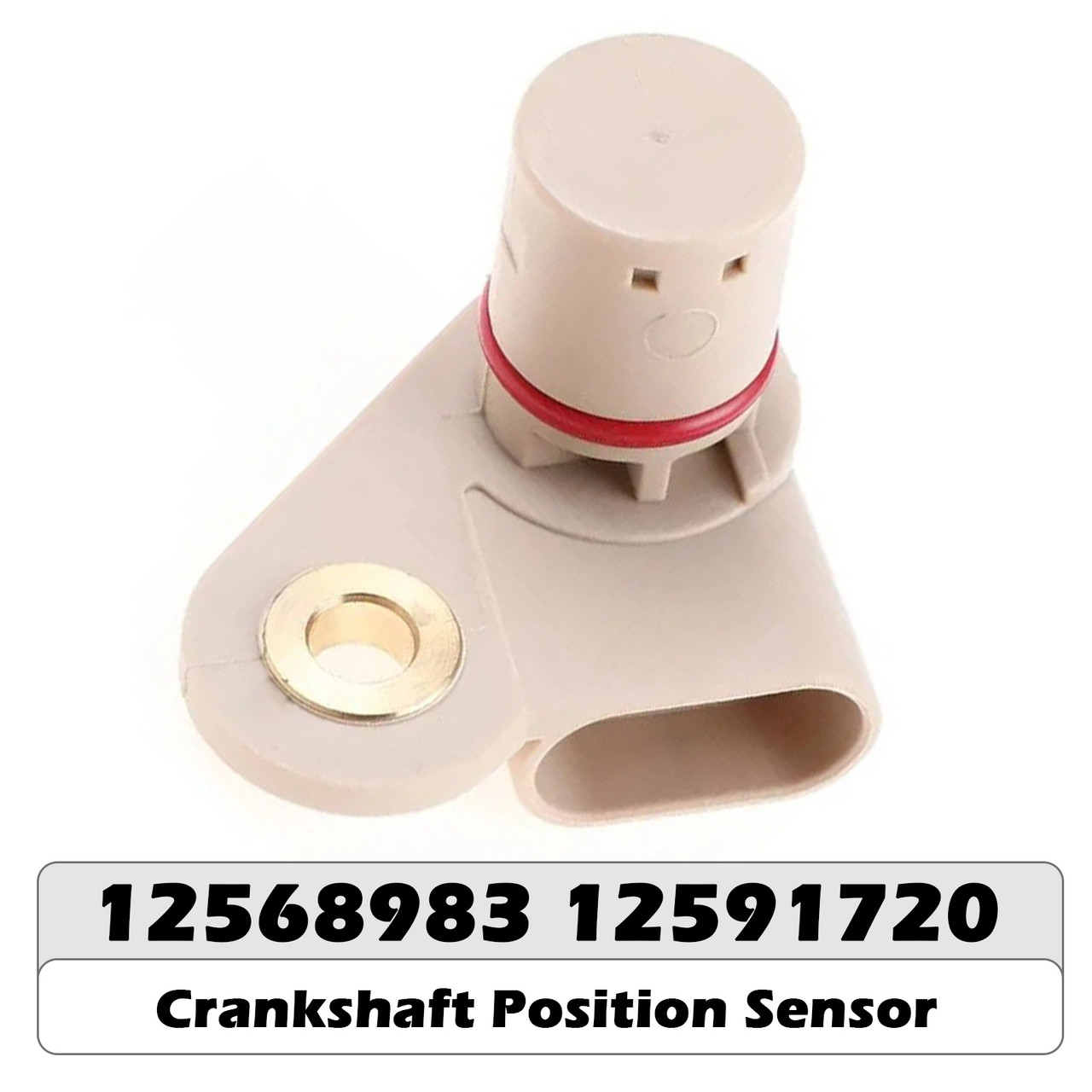 Camshaft Position Sensor 12568983 12591720 for Holden HSV GEN4 6.0 V8 Engines