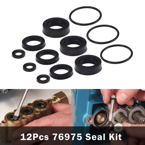 12Pcs 76975 Seal Kit For Cat Pump 4DNX Pumps 4DNX25GSI 4DNX27GSI Seal Kit
