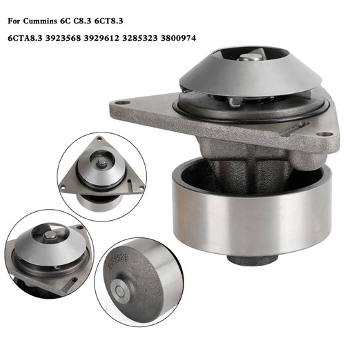 Water Pump 3923568 3929612 3285323 3800974 For Cummins 6C C8.3 6CT8.3 6CTA8.3