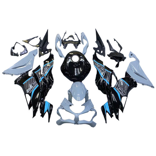 Fairing and Bodywork/Kawasaki Fairings and Bodyworks Fairing and Bodywork/Kawasaki Fairings and Bodyworks