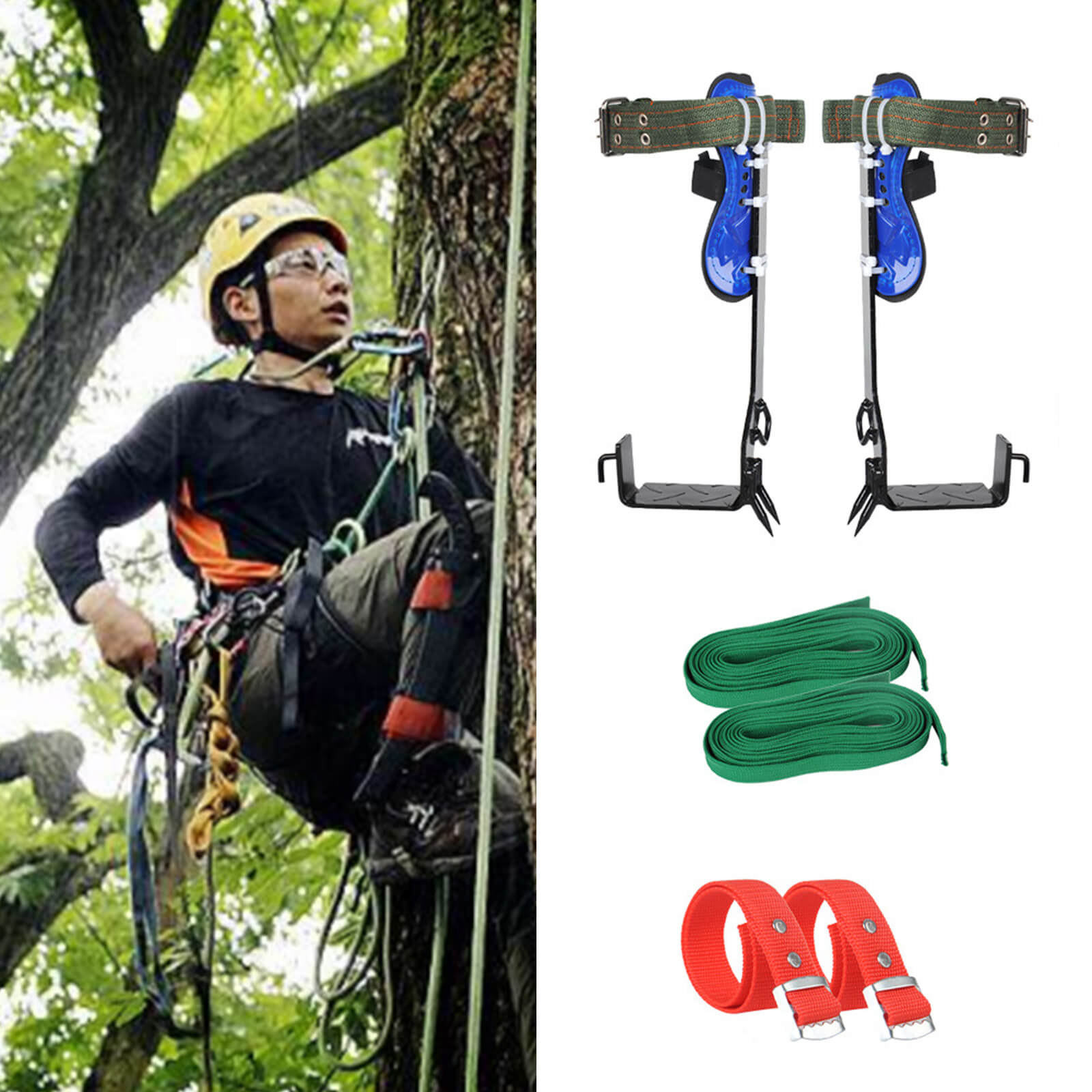 Tree Climbing Spike Set Jungle Survival Safety Belt+Straps Safety Adjustable Lanyard&Carabiner&Rope Durable for Outdoor Fruit Pick 