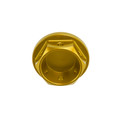 Billet Oil Filler Cap Gold M20 x P2.5mm For Honda Rebel CMX 300 500 2017-2023