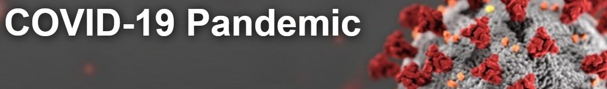 COVID-19 or Corona Virus Impact on Gun Sales