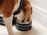 Gifts For Pets category
