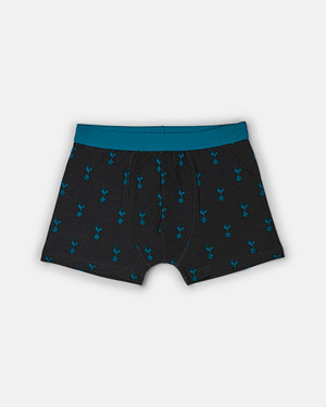 Spurs Kids Cockerel Print Underpants Pack of 3