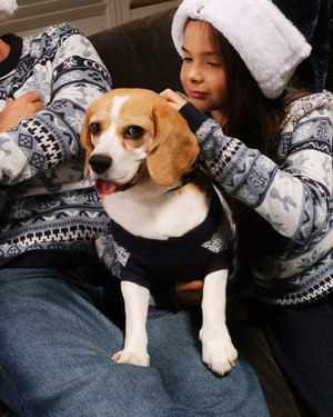 Spurs Pets Fairisle Christmas Navy Jumper