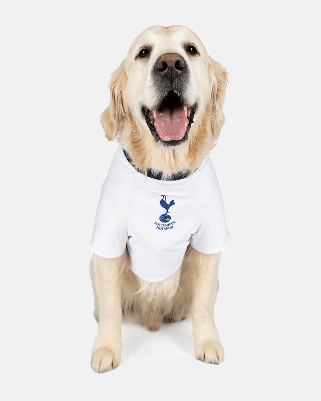 Spurs sales dog jersey