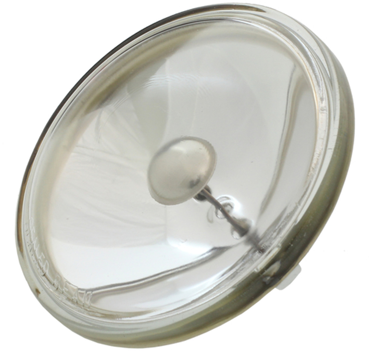 par36 spotlight bulb