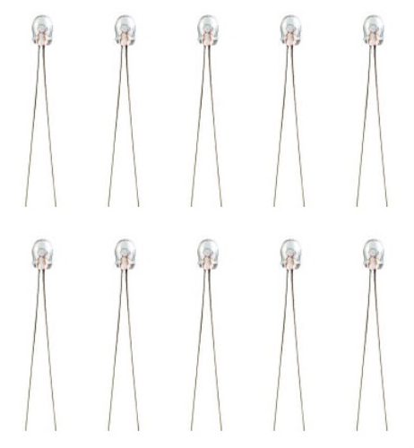 Box of 10 #7152 Miniature Bead Grain Of Wheat Bulb 5V