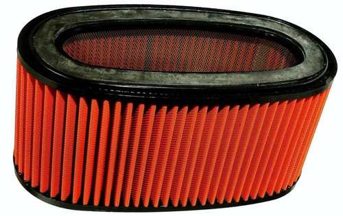 FRAM PRA7438 Air Hog Washable Reusable High Performance Air Filter, AirHog