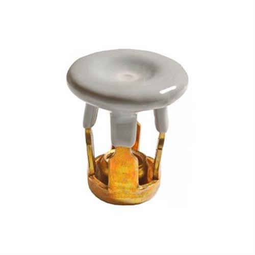 Jack Nuts M6-1.0, Raintite, for X and Y Roof Rack, GM 14007940 (Qty: 10)