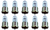 Box of 10 #6839 Miniature Bead Grain Of Wheat Bulb 28V, 0.67W, T1