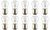 Box of 10 #7512 Lamp Auto Bulb Automotive Lightbulb 24 Volt, 21 Watt