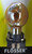 Philips 12181SV PWY24W Silver Vision Bulb 12181 Amber, 24 Watt, 12 Volt, 2A