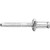 Peel Type Rivet, 1/4" Shank, 1/32" Grip, for GM, Ford, Chrysler (Qty: 25)