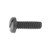 Black Nylon License Plate Screw M6-1.0 x 20mm (Qty: 100)