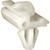 Side Window Moulding Clip for Nissan 255Y3616-10 (Qty: 15)