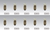 Box of 10 #A1262 Lamp Auto Bulb Automotive Lightbulb 6V 1.2W BA7s base 6 Volt