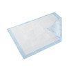 Wings™ Quilted Premium Comfort Maximum Absorbency Low Air Loss Positioning Underpad, 23 x 36 Inch #P2336C