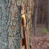 Brazos™ Hawthorn Rustic Walking Stick, 48-Inch Height #602-3000-1135