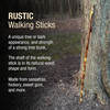 Brazos™ Hawthorn Rustic Walking Stick, 48-Inch Height #602-3000-1135