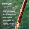 Brazos™ Hawthorn Rustic Walking Stick, 58-Inch Height #602-3000-1137