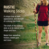 Brazos™ Twisted Hickory Rustic Walking Stick, 55-Inch Height #602-3000-1281