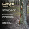 Brazos™ Twisted Oak Trekker Handcrafted Walking Stick, Red, 55-Inch #602-3000-1368