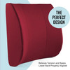 DMI® Foam Lumbar Seat Cushion, 14 x 13 in. #555-7921-0700