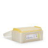 Piccolo Pipette Tip, 0.1 mL #07P0416