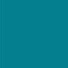 3M Littmann Lightweight II S.E. Stethoscope, Caribbean Blue, 28 Inch #2452
