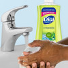 Dial Complete® Antibacterial Liquid Hand Soap, Aloe #01700020945