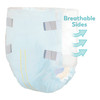 ComfortCare™ Incontinence Brief, Large #2966-100