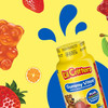 L'il Critters™ Gummy Vites™ Complete Multivitamin #02791700623