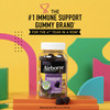 Airborne® Immune Support Supplement Gummies Elderberry #64786590403